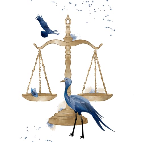 Illustration of a butterfly on a gavel